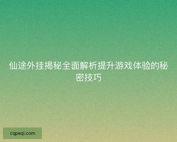 仙途外挂揭秘全面解析提升游戏体验的秘密技巧